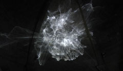 Bertrand Lamarche