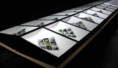 Cypien Gaillard, vue d'exposition